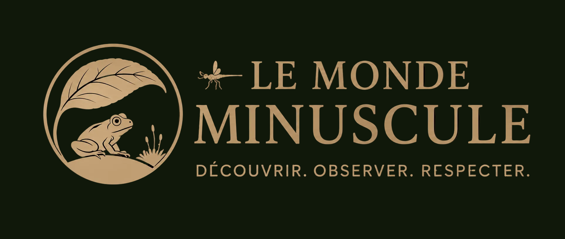 Ma boutique